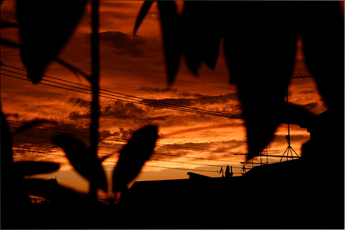 ベランダからの夕日