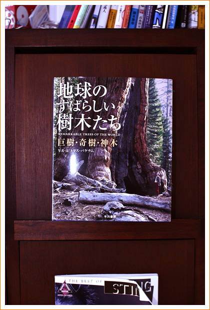 treebook.jpg